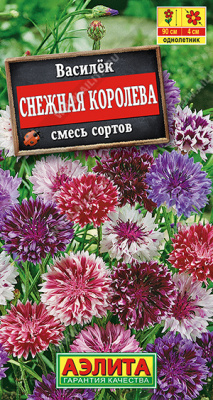 Василек снежная королева