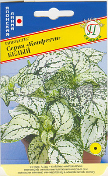 Гипоестеса белый