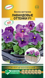 Виола Лавандовые Оттенки