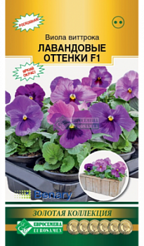 Виола Лавандовые Оттенки