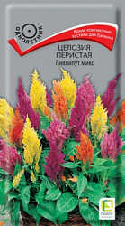 cellozia_peristaya_lilliput_mix