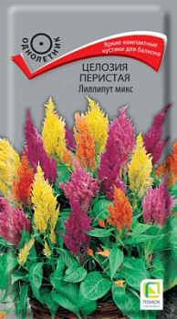 cellozia_peristaya_lilliput_mix