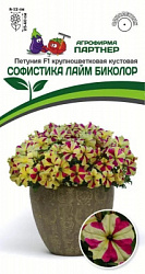 Петуния софистика лайм биколор