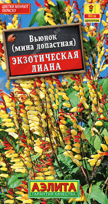 Вьюнок Экзотическая лиана