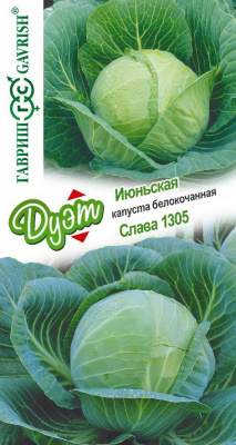 Капуста бк Июньская Слава 1305