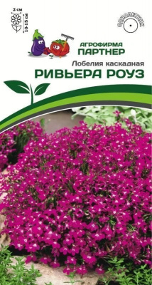 Лобелия Ривьера Ривьера Роуз