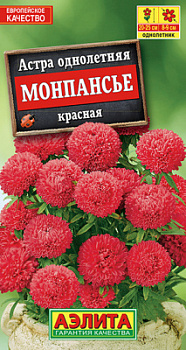 Астра Монпансье красная_ЦП