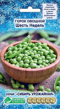 Горох Шесть недель