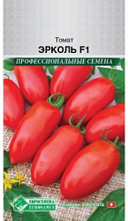 Эрколь