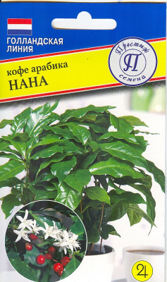kofe_nana