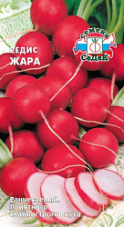 redis_zhara