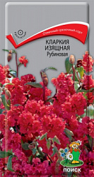 klarkia_izyashnaya_rubinovaya