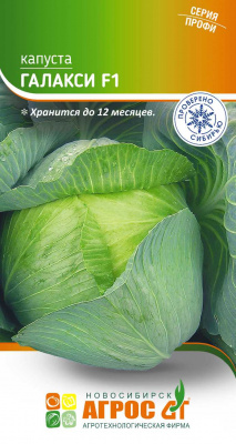 Капуста ГАЛАКСИ