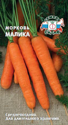 morkov_malika_granuly