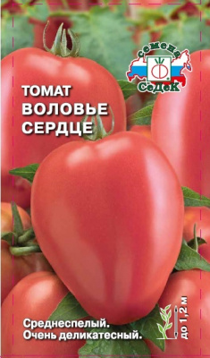 tomat_volove_serdtse 1