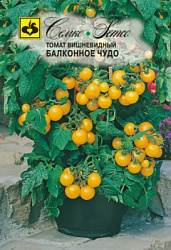tomat_balkonnoe_chudo_zheltyj