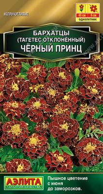 Бархатцы Черный принц