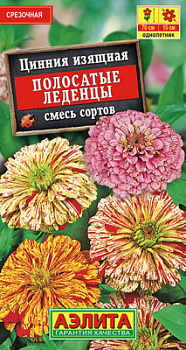 Цинния Полосатые леденцы, смесь сортов_ЦП