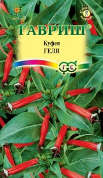 Куфея
