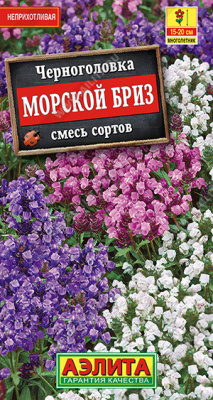 Черноголовка