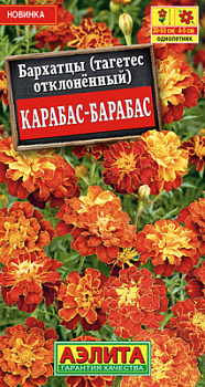 Бархатцы Карабас-Барабас отклоненные_ЦП