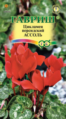 Цикламен