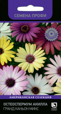 osteospermum_akilla_grand_kanoyn_mix