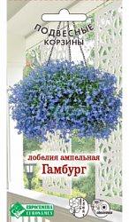 Лобелия Гамбург