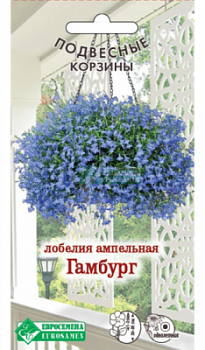 Лобелия Гамбург
