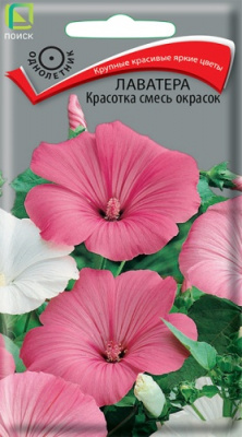 lavatera_krasotka_smes_okrasok