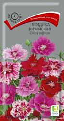 gvozdika_china_smes_okrasok