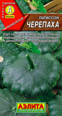 Патиссон Черепаха_ЦП