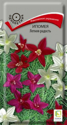 ipomea_letnyaya_radost