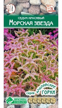 Звезда