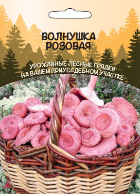 volnushka-rozovaya