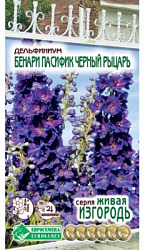 Дельфиниус Бенари Пасифик Черный Рыцарь