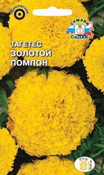tagetes_zolotoy_pompon