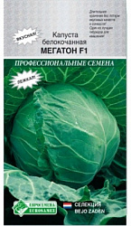 Мегатон