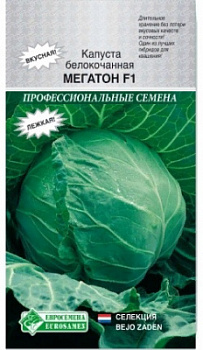 Мегатон