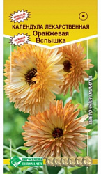 Календула Оранжевая вспышка