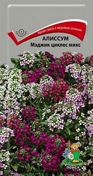 Алиссум мэджик циклес микс