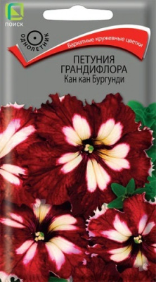 Петуния грандифлора Кан кан Бургунди