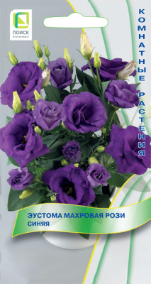 Eustoma-mahrovaya-Rosi-Sinaya