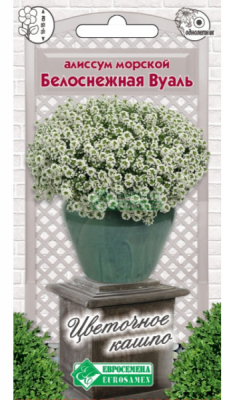 Алиссум Белоснежная Вуаль