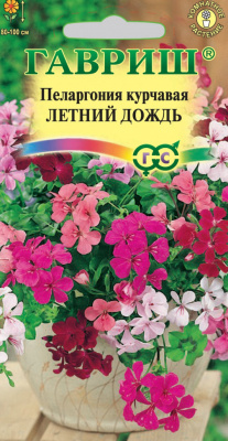 Летний дождь