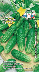 ogurets_kay_f1