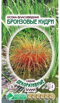Осока Бронзовые Кудри