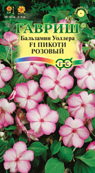 Бальзамин пикоти