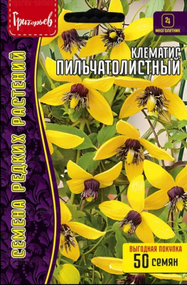 Клематис Пильчатолистный