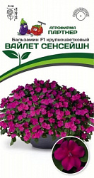 Бальзамин Вайлет сенсейшен